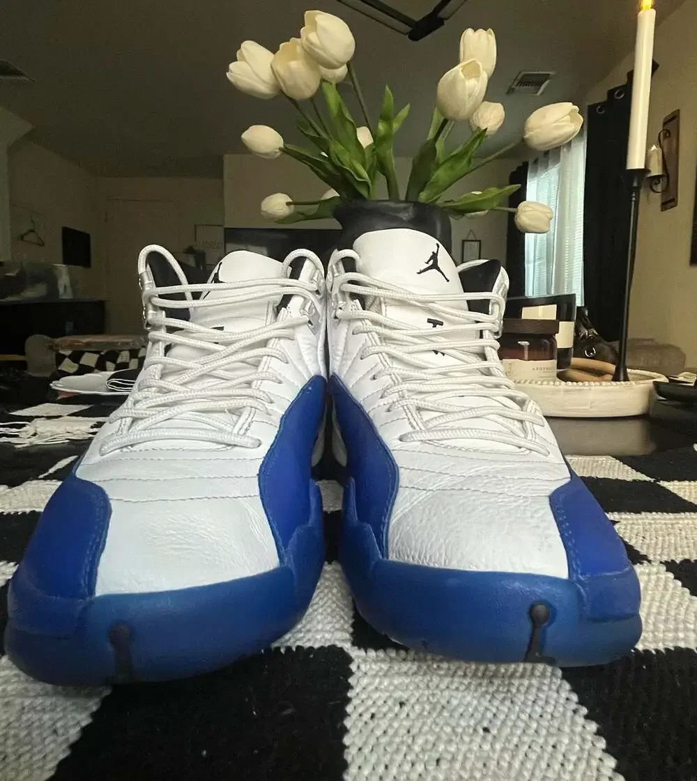 Air Jordan 12 Retro 'Blueberry' (CT8013-140)